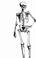 Image result for Undertale Skeleton