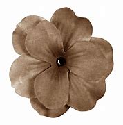 Image result for Transparent Drawing Brown Flowers