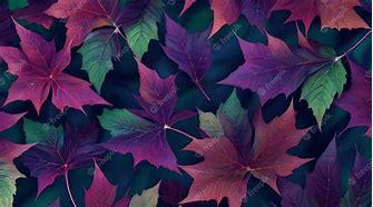 Image result for Amazing Autumn Leaves