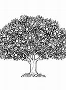 Image result for Awesome Apple Tree Vector