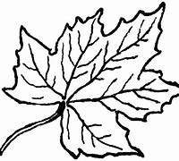 Image result for Fall Leaf Outline Clip Art