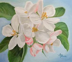 Image result for Apple Blossom Tree Painting