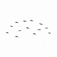 Image result for Birds On Branches That Are Verticle