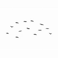 Image result for Bird in a Branch Vector Black