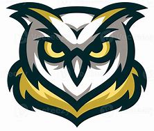 Image result for Angry Owl PNG