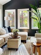 Image result for Living Room Accent Wall Ideas