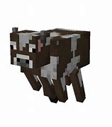 Image result for Minecraft Mooshroom Cow Real