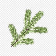 Image result for Pine Tree Leaves Vector