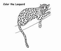 Image result for Branch Coloring Page for Kids