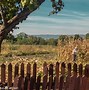 Image result for Corn Harvesting Photography Ideas