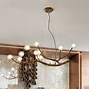 Image result for Tree Branch Chandelier