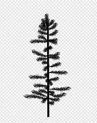 Image result for Ponderosa Pine Tree Silhouette