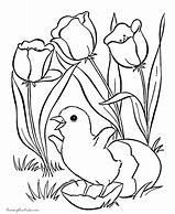 Image result for Chihuahua Dog Coloring Pages