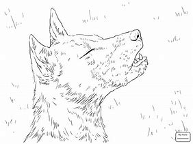 Image result for Wild Dog Coloring Pages