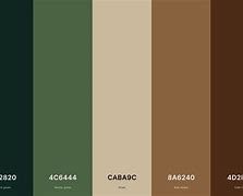 Image result for Color Tone for Security