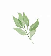 Image result for Simple Green Leaf Watercolor