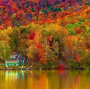 Image result for Fall Leaves Desktop Background Lake