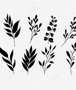 Image result for Six Leaf Plant Silhouette