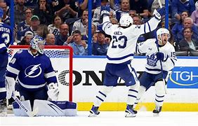 Image result for Maple Leafs Game