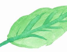 Image result for Watercolor Leaves