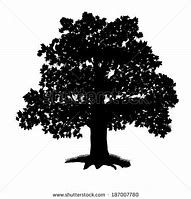 Image result for Elm Tree SVG