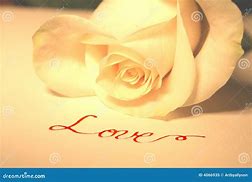 Image result for White Rose I Love You