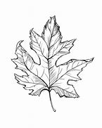 Image result for One Line Art Leaf