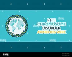 Image result for Holly Week CD-R Vector