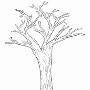 Image result for Tree Trunk to Hide Behind