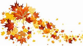 Image result for Fall Leaves Illustration