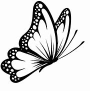 Image result for Butterfly Side Outline Clip Art