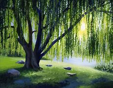 Image result for Willow Tree Branch Illustration