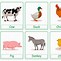 Image result for Animal Alphabet Flash Cards