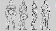 Image result for Basic Human Anatomy Drawing