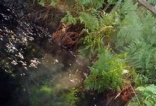 Image result for Secluded Hot Springs