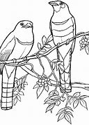 Image result for Bird On Branch Coloring Page