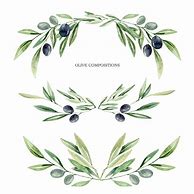 Image result for Olive Branch Graphic Clip Art