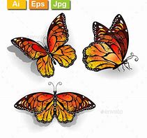 Image result for Orange Butterfly Fabric