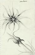 Image result for Sakura Flower Drawing Simple