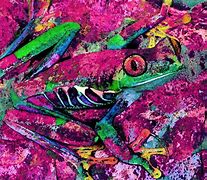 Image result for Trippy Frog Art