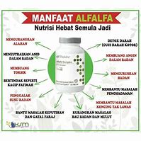 Image result for Alfalfa Shaklee