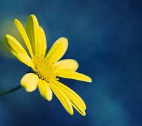 Image result for Simple Blue Desktop Background