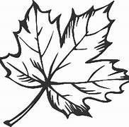 Image result for Maple Leaf Line Art