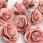 Image result for Dusty Rose and Cobalt Flowers