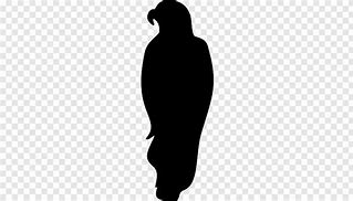 Image result for Cool Animals Silhouette Image