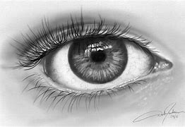 Image result for Human Eye Pencil Drawing