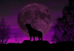 Image result for Purple Moon Painting