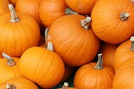 Image result for Google Free Clip Art Pumpkin