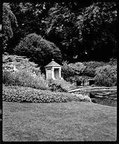 Image result for Garden of Hesperides