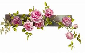 Image result for Floral Banner Transparent